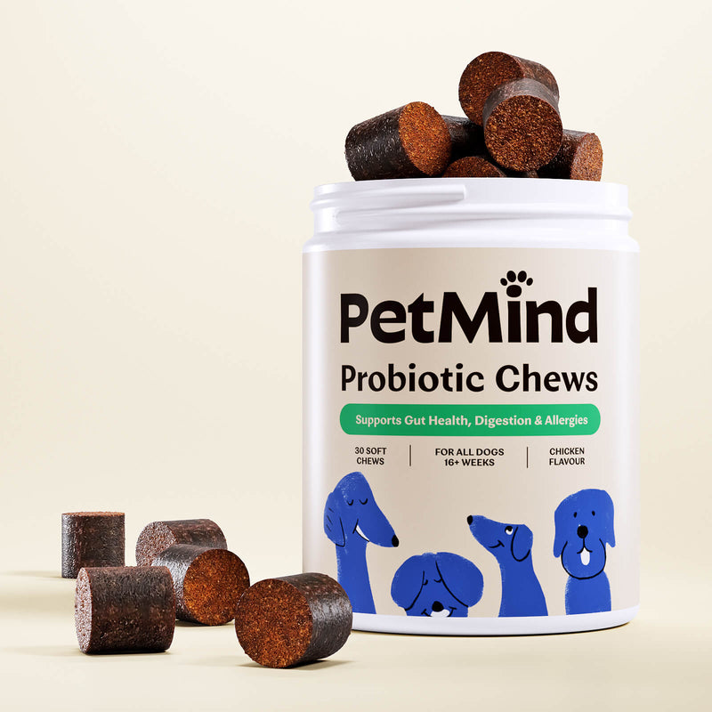 Probiotic Chews