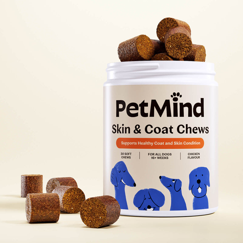 Skin & Coat Chews