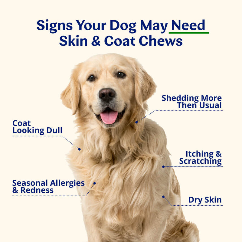 Skin & Coat Chews