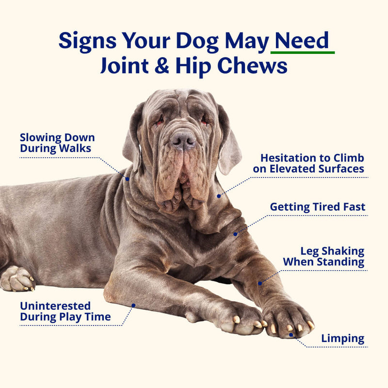 Joint & Hip Chews